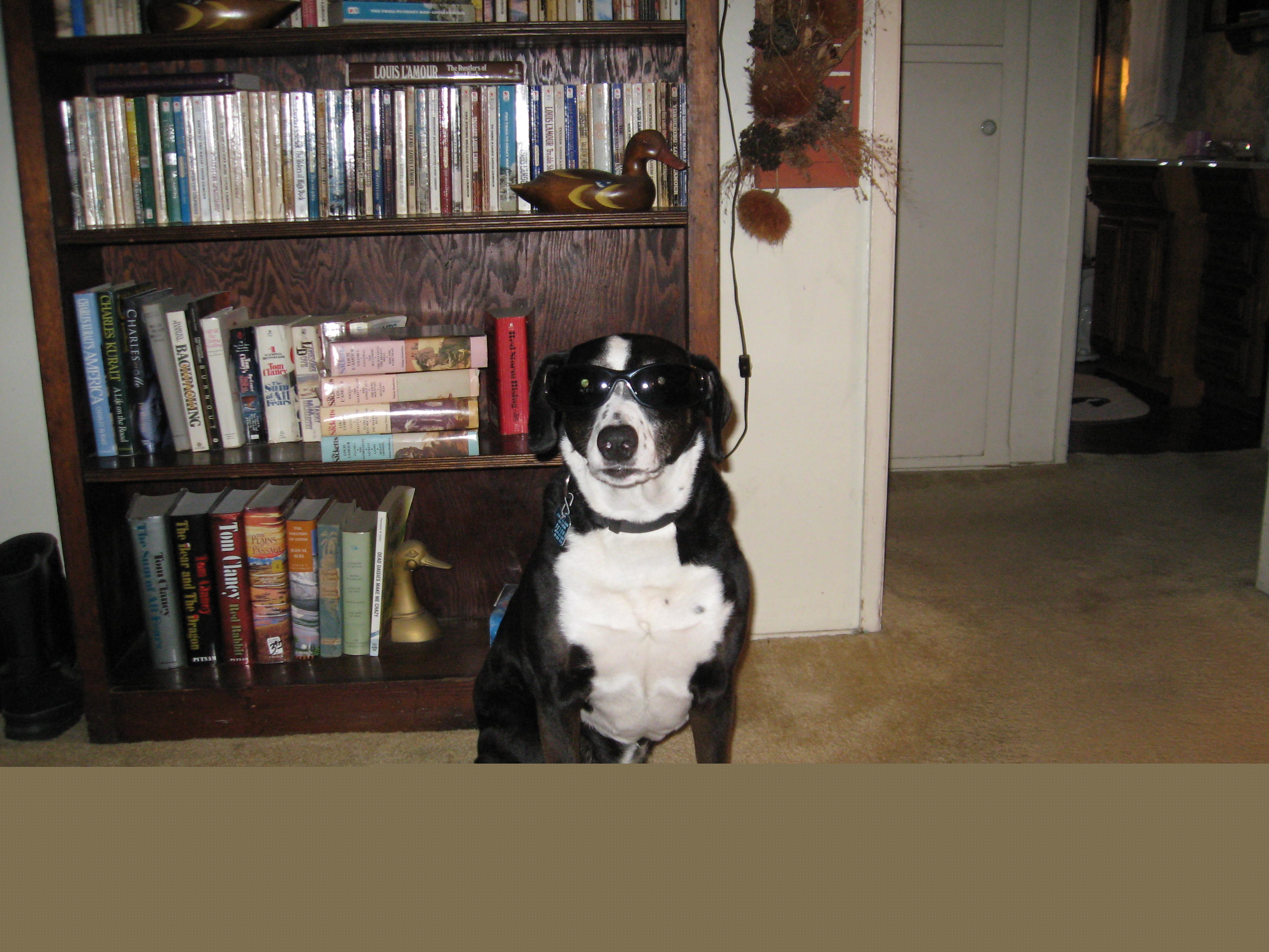 cool shela 001.jpg